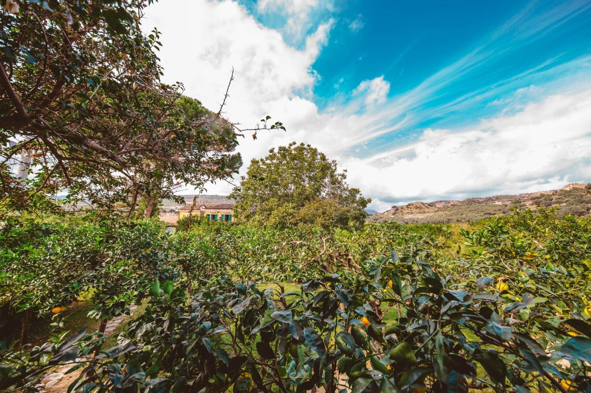 Agriturismo Villa Vittoria Guardavalle Ngoại thất bức ảnh