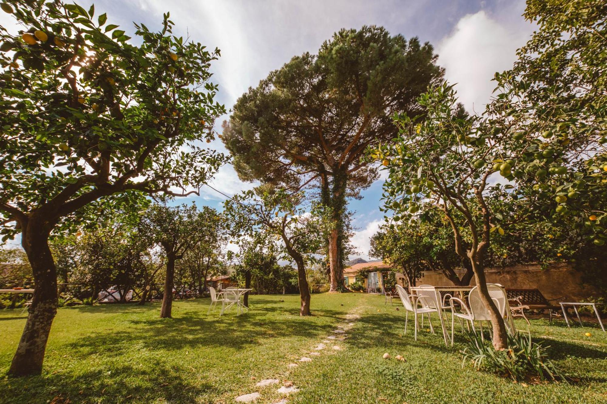 Agriturismo Villa Vittoria Guardavalle Ngoại thất bức ảnh