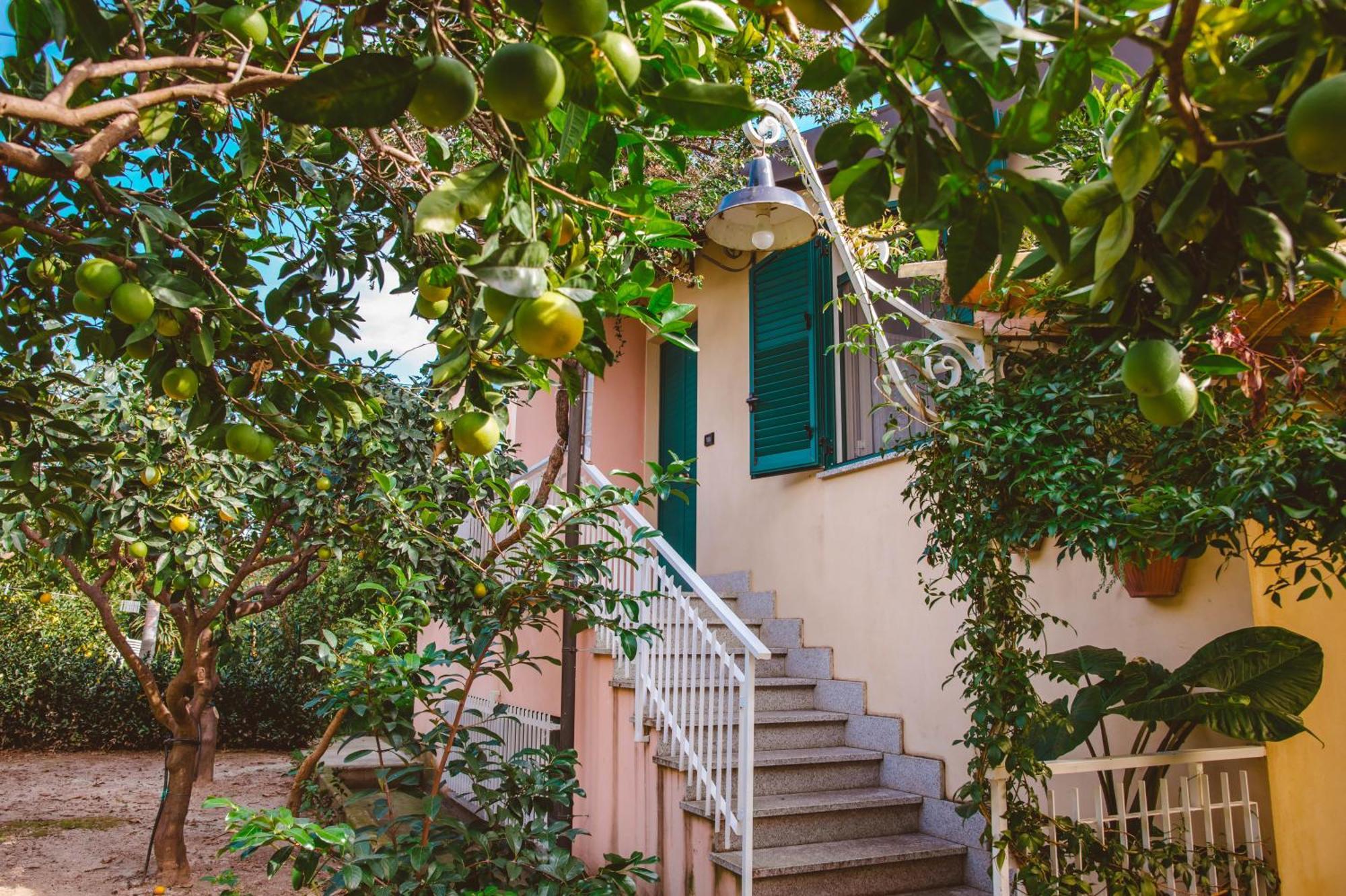 Agriturismo Villa Vittoria Guardavalle Ngoại thất bức ảnh